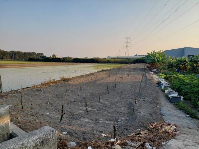 大路邊農地