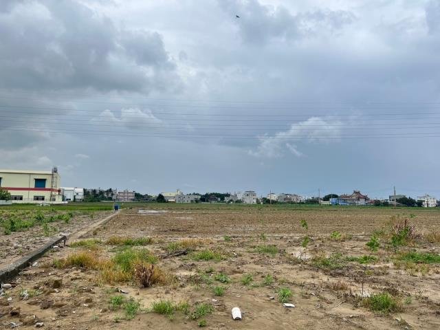 本洲工業區正路上漂亮農地