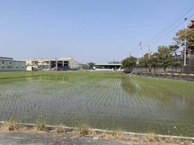 仁心路漂亮農地