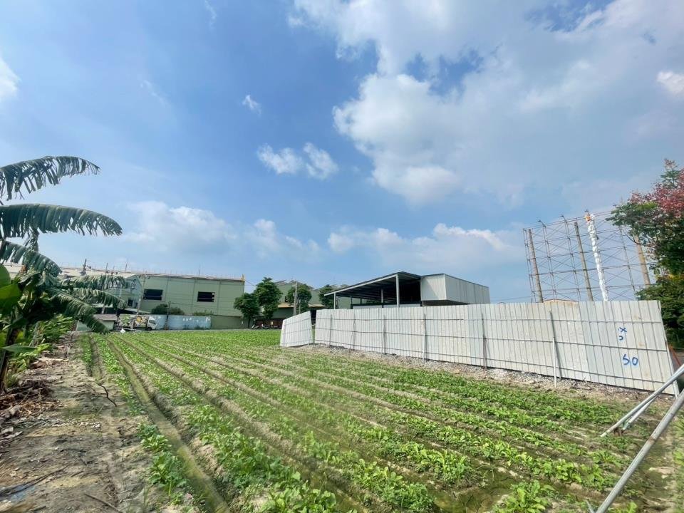 正光明路雙面臨路農地