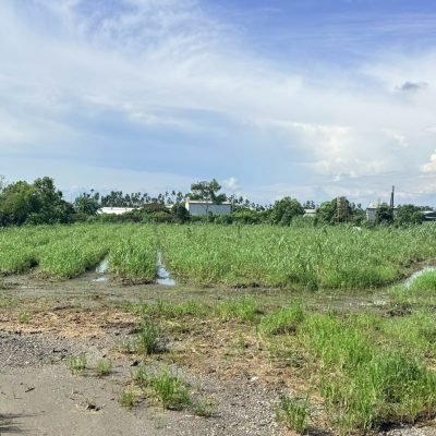 屏東市土地推薦｜瑞光南路｜農地出售 照片 1
