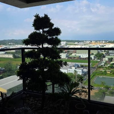 高雄鳳山房屋推薦｜華鳳特區｜三房平車輕屋齡出售 照片 2