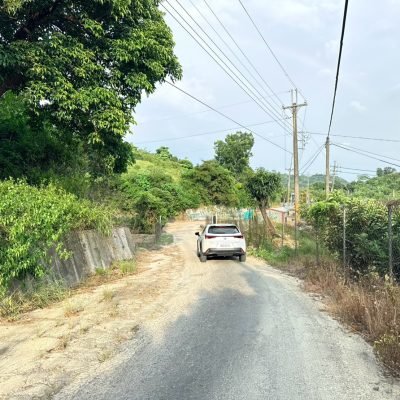 高雄大樹土地推薦｜義大世界｜農地出售 照片 2