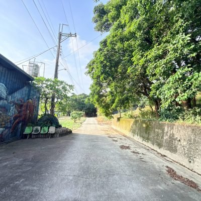 高雄大樹土地推薦｜義大世界｜農地出售 照片 3