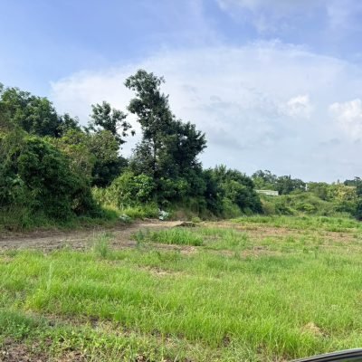 高雄仁武土地推薦｜義大世界｜農地出售 照片 1